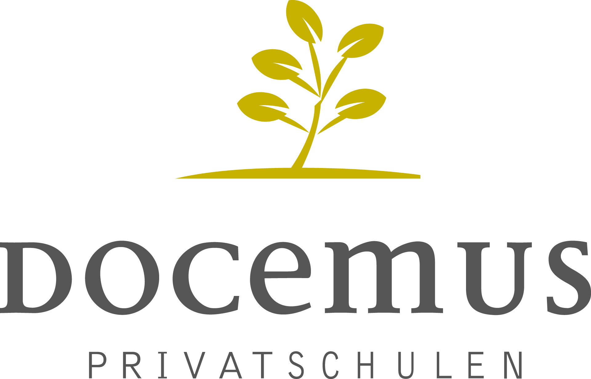 Logo Docemus Privatschulen